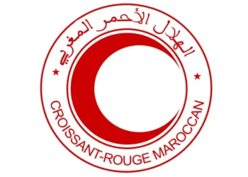 Croissant-Rouge Marocain recrute plusieurs profils