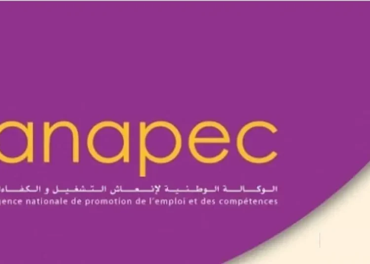 صالير 5000 درهم شهرياً مطلوب أساتذة بشهادة الاجازة في عدة تخصصات عن طريق الأنابيك 2023