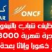 صالير بين 3000 و 8000 درهم شهريا .. إعلان عن حملة توظيف في عدة تخصصات بعدة مدن