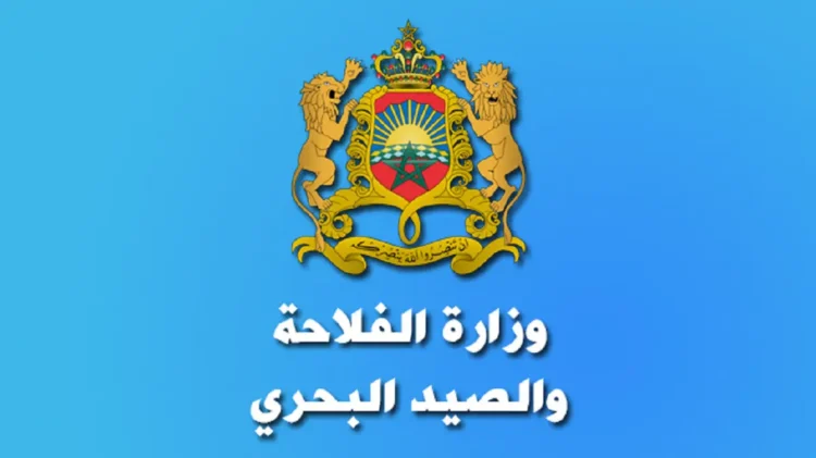 كونكور وزارة الفلاحة والصيد البحري والتنمية القروية والمياه والغابات (197 منصب) ، آخر أجل هو 15 يناير 2024