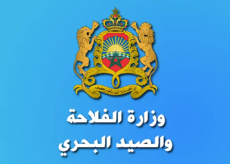 كونكور وزارة الفلاحة والصيد البحري والتنمية القروية والمياه والغابات (197 منصب) ، آخر أجل هو 15 يناير 2024