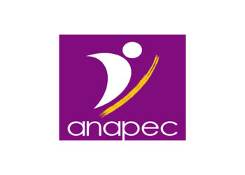 مطلوب موظفين للعمل في المجال الإداري (إدارة-مكتب-إدخال بيانات)