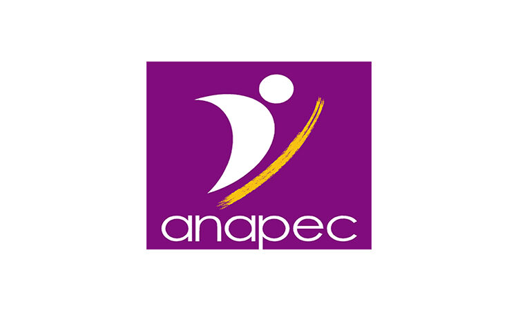 مطلوب موظفين للعمل في المجال الإداري (إدارة-مكتب-إدخال بيانات)