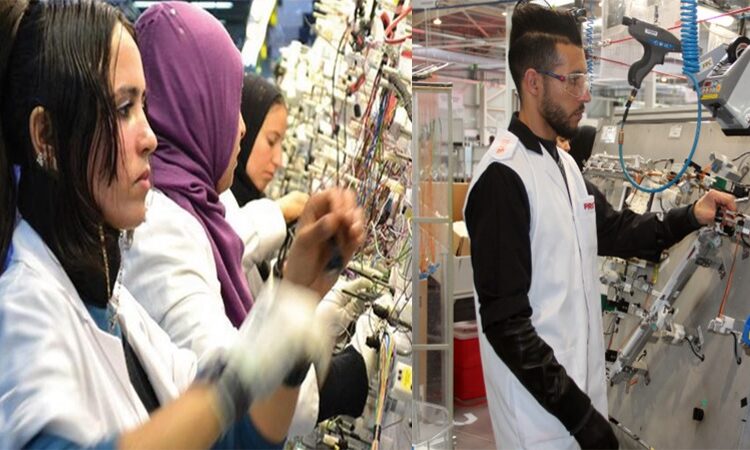 مطلوب 700 عامل وعاملة بقطاع الكابلاج بدون شهادة او دبلوم