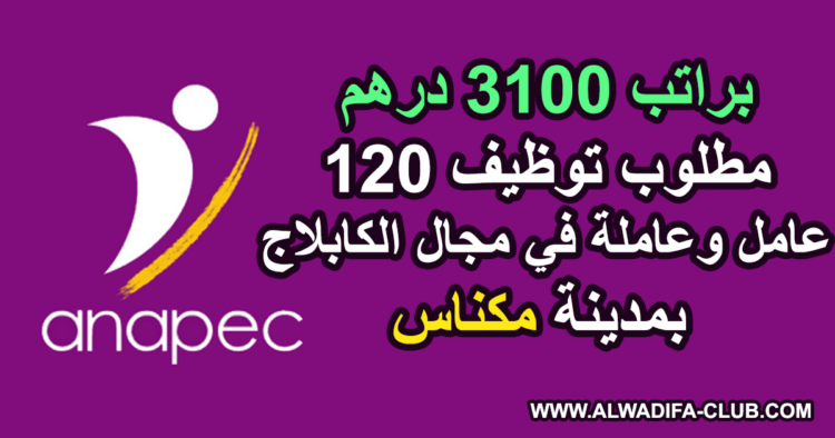 براتب 3100 درهم مطلوب توظيف 120 عامل وعاملة في مجال الكابلاج بمدينة مكناس