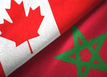 العمل في كندا 2024 أنابيك سكيلز كندا: تشغيل عمال وعاملات بمصنع للخشب بشهادة البكالوريا براتب 176 درهم للساعة