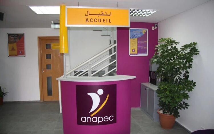 الأنابيك : تشغيل 3530 منصب في عدة مجالات وتخصصات وبعدة مدن