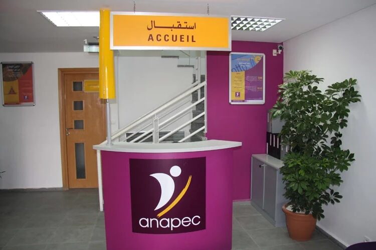 الأنابيك : تشغيل 3530 منصب في عدة مجالات وتخصصات وبعدة مدن