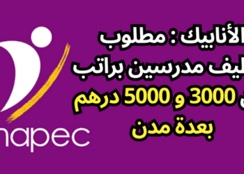 الأنابيك : مطلوب توظيف مدرسين براتب بين 3000 و 5000 درهم بعدة مدن