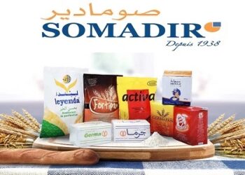 شركة SOMADIR تعلن عن حملة توظيف في عدة تخصصات