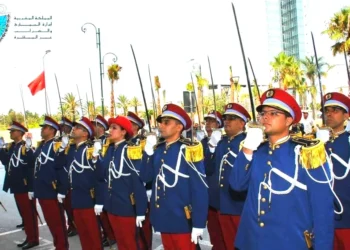 مباراة الجمارك 2024: توظيف 350 مفتش الجمارك