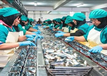 مطلوب تشغيل 400 عاملات لتصبير السمك بوحدة صناعية ببوجدور