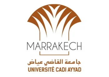 مباراة توظيف 29 منصب بجامعة القاضي عياض 2024