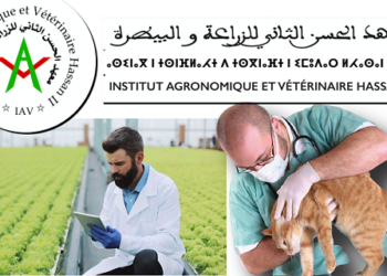 Inscription Concours APESA IAV Rabat 2024/2025