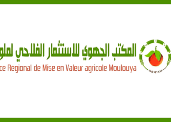 مباراة توظيف 15 تقني من الدرجة الثالثة بالمكتب الجهوي للاستثمار الفلاحي لملوية 2024