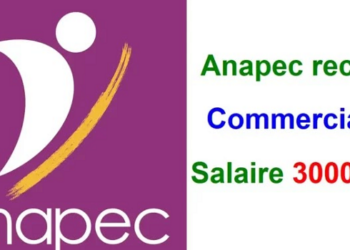 أنابيك: توظيف 20 تجاري في عدة مدن براتب شهري 3000 درهم