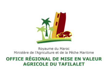 مباريات التوظيف المكتب الجهوي للاستثمار الفلاحي لتافيلالت