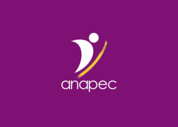 Formations en Ligne Gratuites – Anapec 