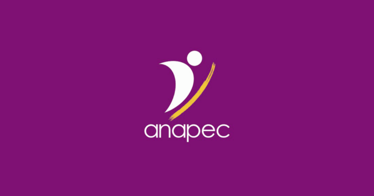 Formations en Ligne Gratuites – Anapec 