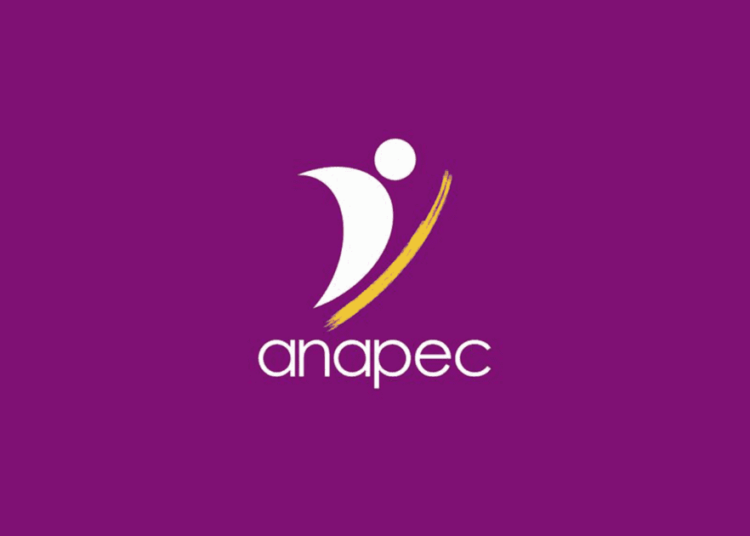 Formations en Ligne Gratuites – Anapec
