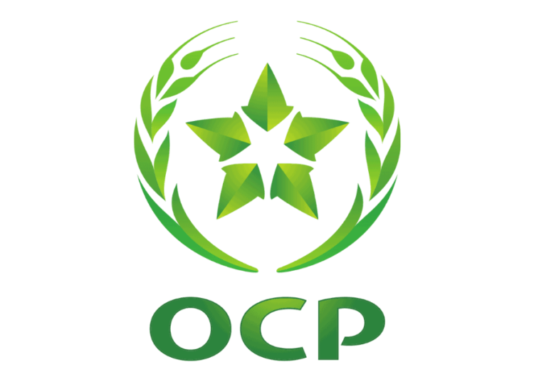 المكتب الشريف للفوسفاط (OCP) يبحث عن مهندسين