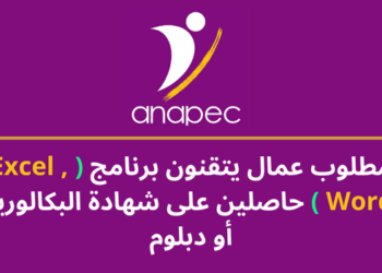 الأنابيك: مطلوب عمال يتقنون برنامج ( Excel , Word ) حاصلين على شهادة البكالوريا أو دبلوم