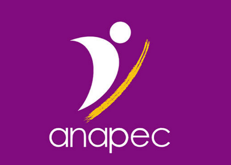 أنابيك كلميم: توظيف 24 مدرسًا للدعم المدرسي