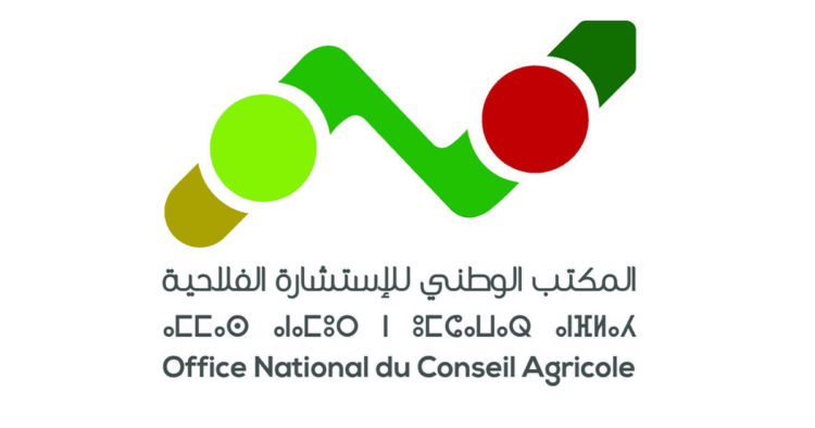 مباراة توظيف 52 منصب بالمكتب الوطني للإستشارة الفلاحية 2024