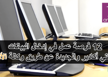 فرصة عمل في إدخال البيانات