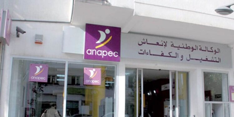 الأنابيك: مطلوب أساتذة التعليم الخصوصي بعدة مدن