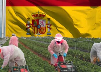 التسجيل في الفلاحة في إسبانيا 2025