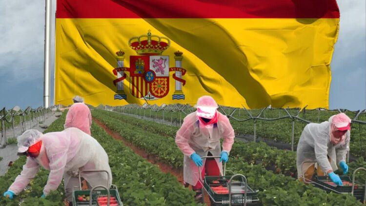 التسجيل في الفلاحة في إسبانيا 2025