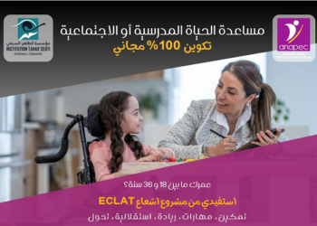 الأنابيك دورة تكوينية كمساعدة الحياة المدرسية والاجتماعية 2025