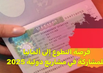 فرصة التطوع إلى ألمانيا للمشاركة في مشاريع دولية