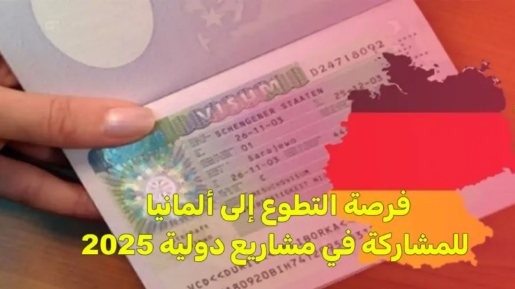فرصة التطوع إلى ألمانيا للمشاركة في مشاريع دولية
