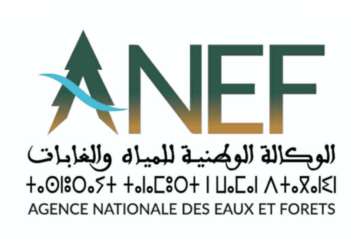 مباريات التوظيف بالوكالة الوطنية للمياه والغابات 2025 (59 منصب)