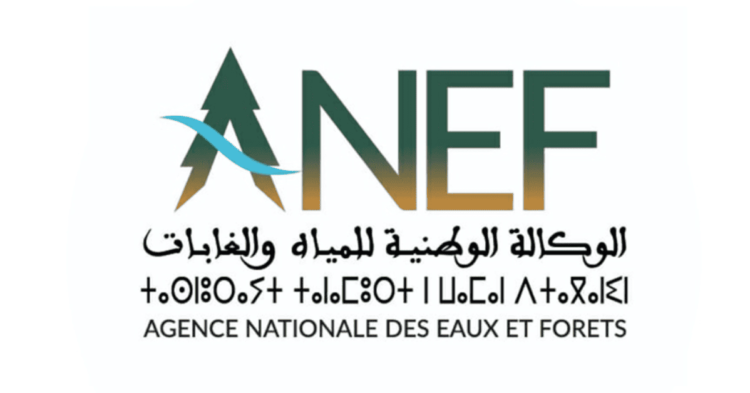 مباريات التوظيف بالوكالة الوطنية للمياه والغابات 2025 (59 منصب)