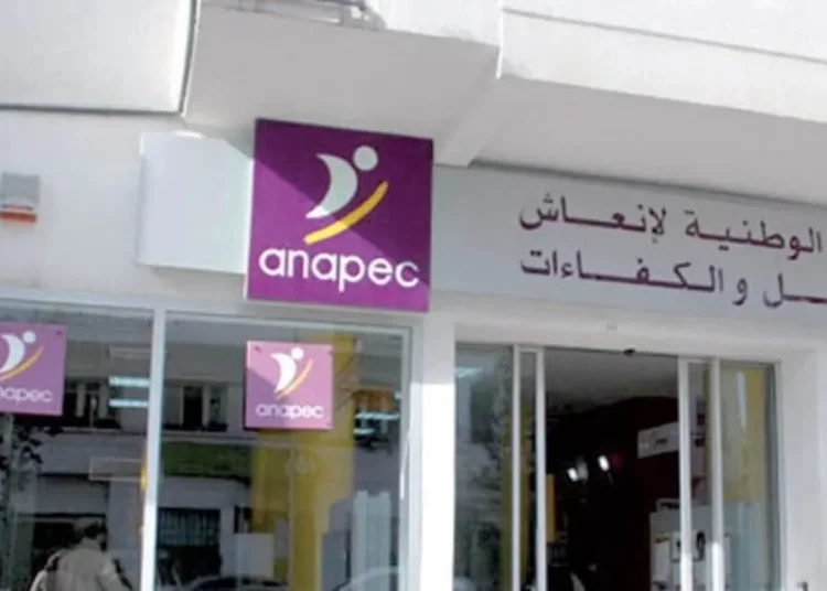 Anapec recrute des Enseignants Salaire SMIG