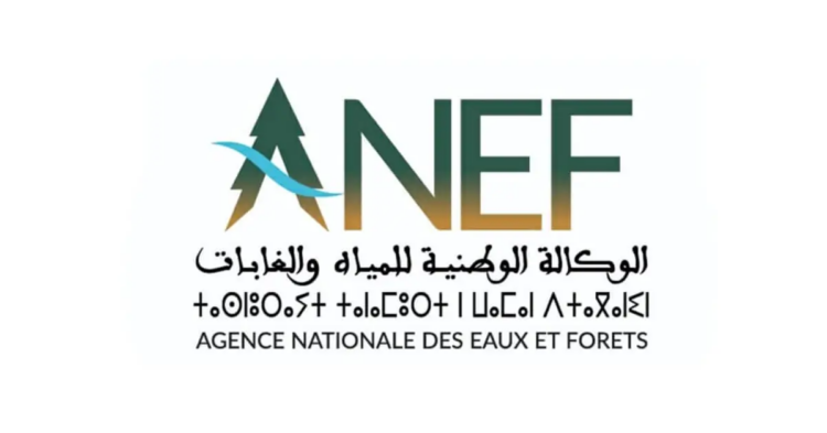 الوكالة الوطنية للمياه والغابات: مباراة توظيف 3 متصرفين من الدرجة الثانية. آخر أجل هو 4 أبريل 2025