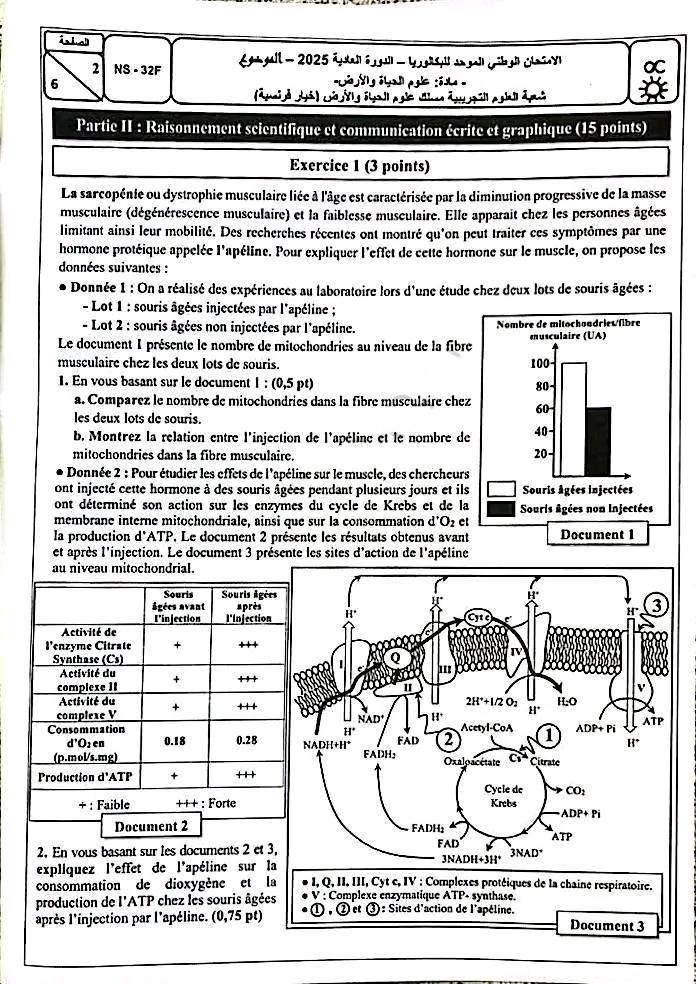 الامتحان الوطني علوم الحياة والارض 2025 شعبة العلوم التجريبية مسلك علوم الحياة والارض الامتحان الوطني علوم الحياة والارض 2025 شعبة العلوم التجريبية مسلك علوم الحياة والارض