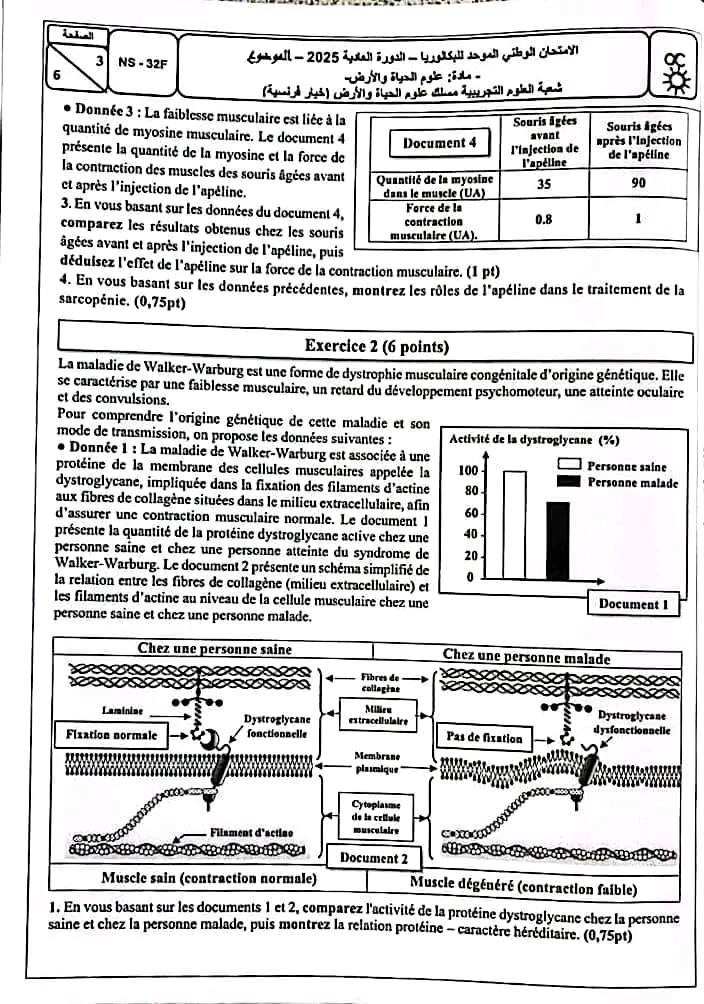 الامتحان الوطني علوم الحياة والارض 2025 شعبة العلوم التجريبية مسلك علوم الحياة والارض الامتحان الوطني علوم الحياة والارض 2025 شعبة العلوم التجريبية مسلك علوم الحياة والارض