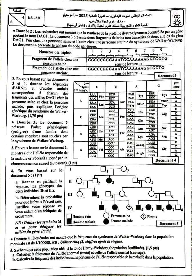 الامتحان الوطني علوم الحياة والارض 2025 شعبة العلوم التجريبية مسلك علوم الحياة والارض الامتحان الوطني علوم الحياة والارض 2025 شعبة العلوم التجريبية مسلك علوم الحياة والارض