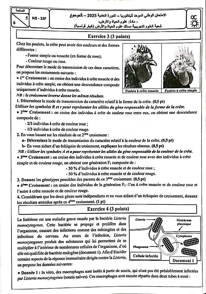 الامتحان الوطني علوم الحياة والارض 2025 شعبة العلوم التجريبية مسلك علوم الحياة والارض الامتحان الوطني علوم الحياة والارض 2025 شعبة العلوم التجريبية مسلك علوم الحياة والارض