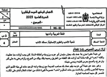 الامتحان الوطني 2025 مسلك الاداب مادة العربية