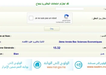 Résultats BAC 2025 au Maroc