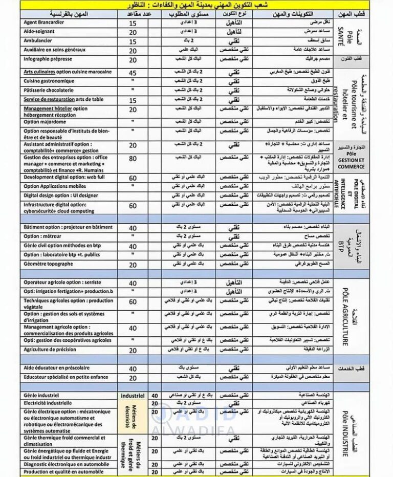التسجيل في معاهد مدن المهن والكفاءات cmc.ac.ma