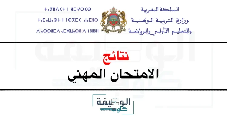 نتائج الامتحان المهني 2024 جميع الأسلاك والهيئات