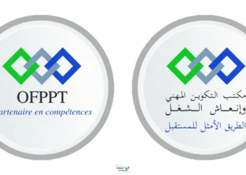 نتائج التكوين المهني