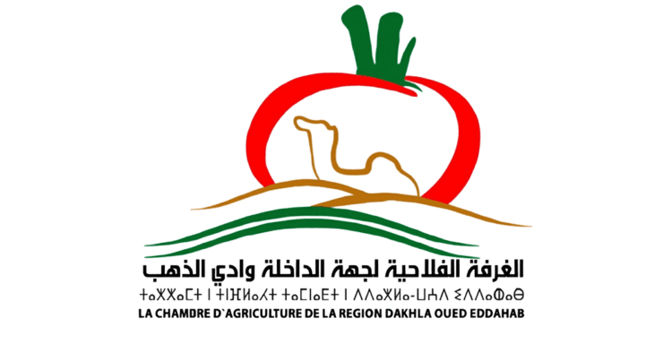 الغرفة الفلاحية لجهة الداخلة وادي الذهب مباريات التوظيف