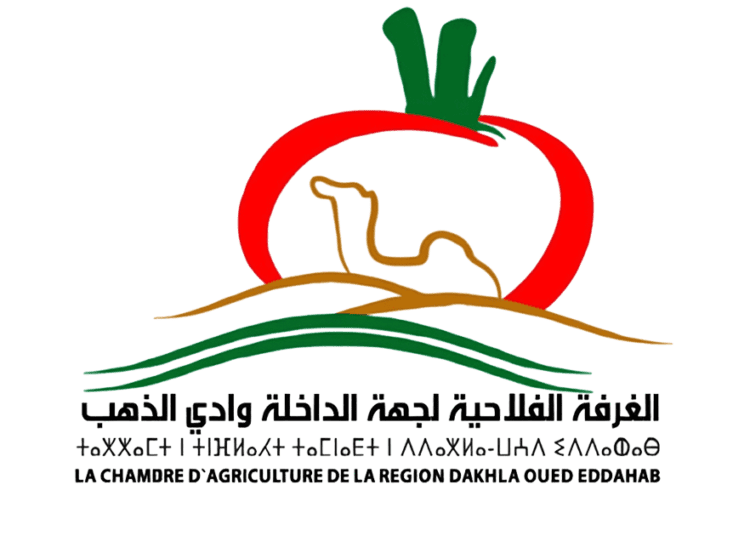 الغرفة الفلاحية لجهة الداخلة وادي الذهب مباريات التوظيف